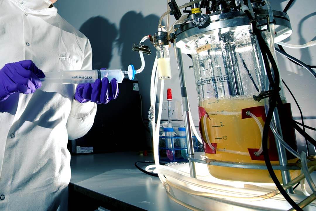 Fermentation scientist using equipment