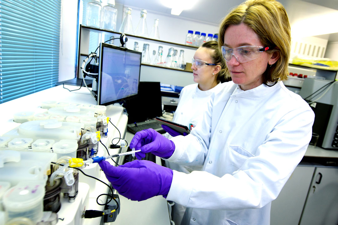 Scientists at fermentation equipment