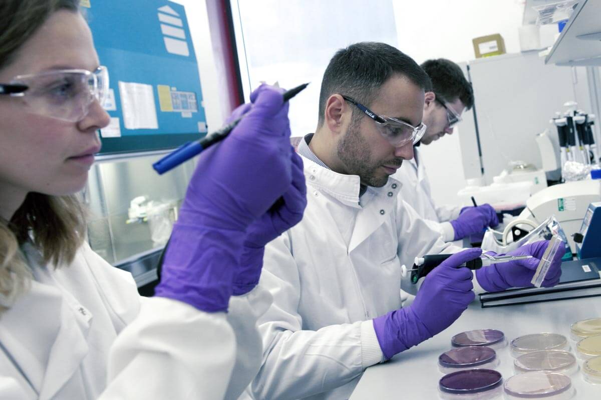 Scientists working in a lab